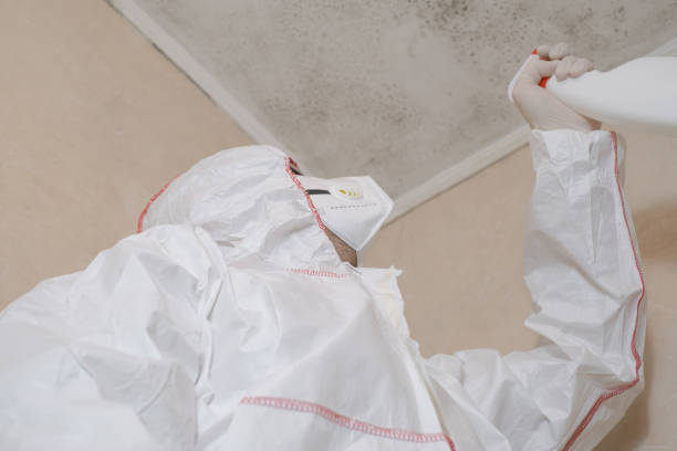 Best Residential Mold Removal  in Billington Heights, NY